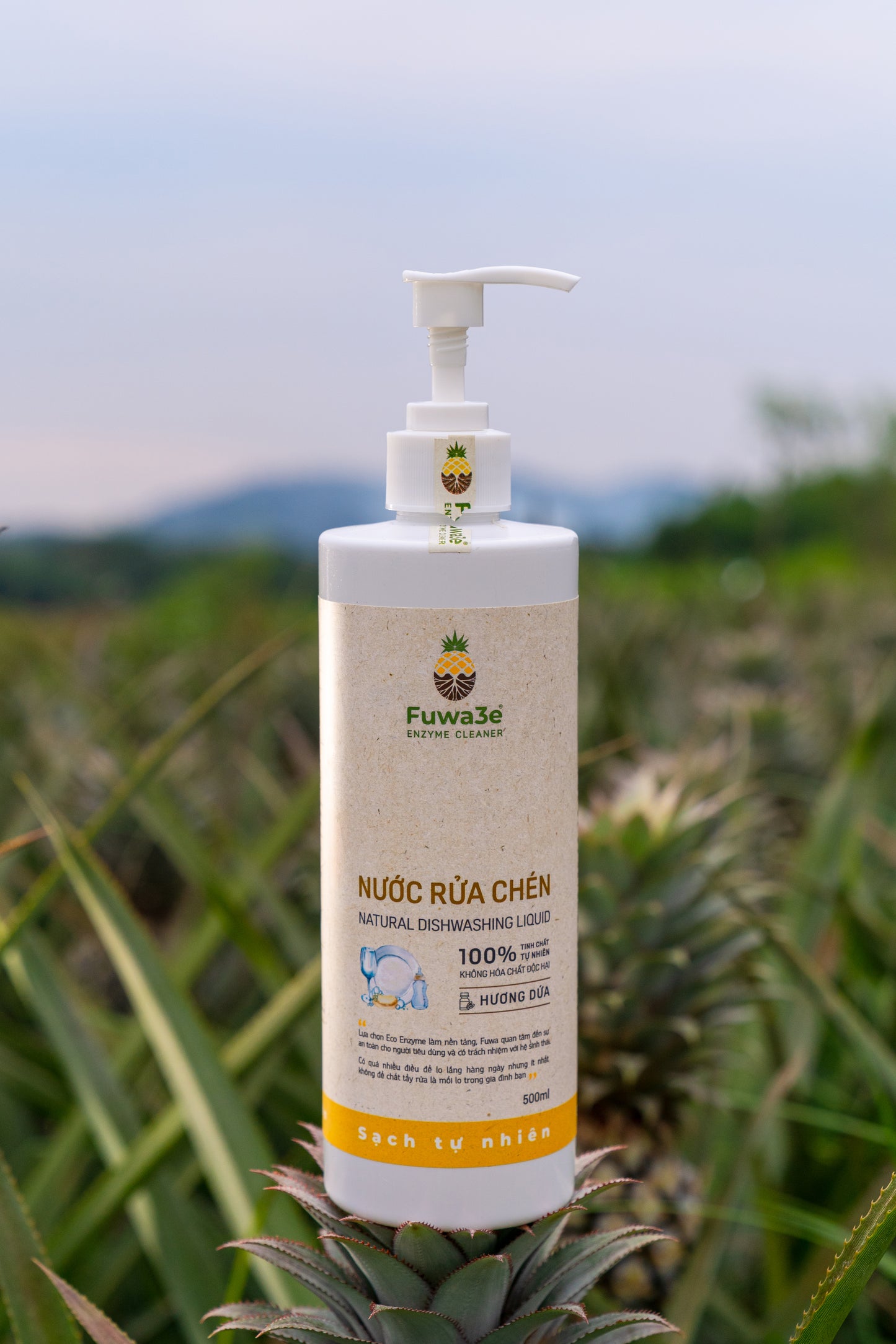 Fuwa3e Pineapple Enzyme Dish Soap – 99% Plant-Based, Hypoallergenic & Eco-Friendly – Tropical Pineapple Scent – 16.9 oz – Made from Recycled Pineapple Peels – Non-Toxic Natural Liquid Dish Soap